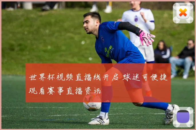 世界杯视频直播线开启 球迷可便捷观看赛事直播资讯
