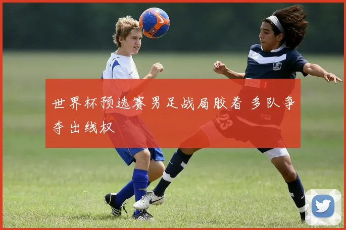 世界杯预选赛男足战局胶着 多队争夺出线权
