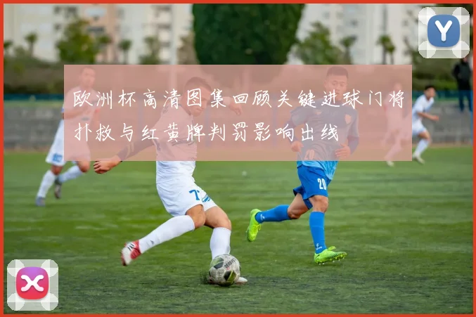 欧洲杯高清图集回顾关键进球门将扑救与红黄牌判罚影响出线