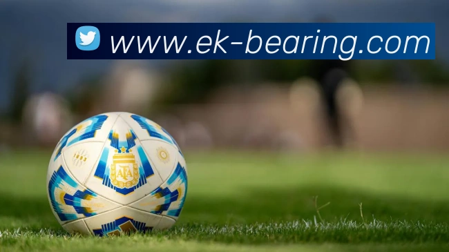 开云app在线入口网页版发展历程